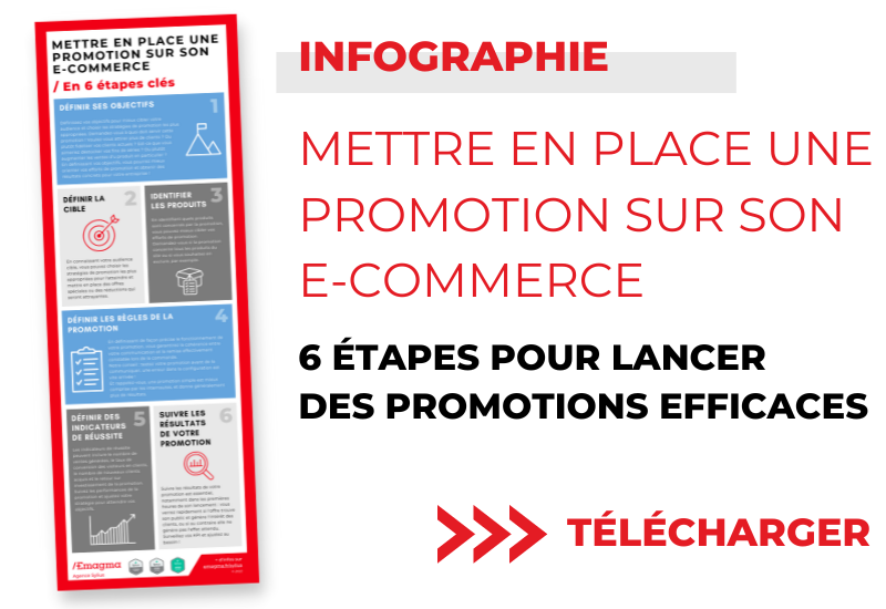 Infographie promotion sylius